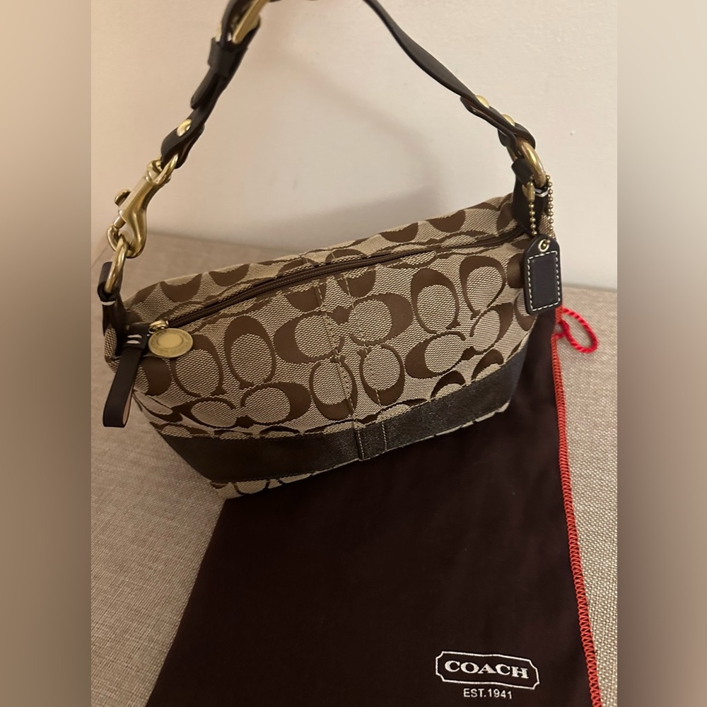 Coach signature C mini hobo bag with dustbag NWOT